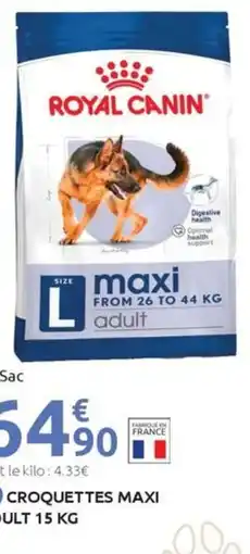 Mr Bricolage ROYAL CANIN Croquettes maxi adult offre