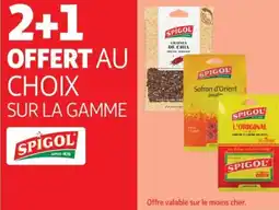 Auchan SUR LA GAMME SPIGOL offre