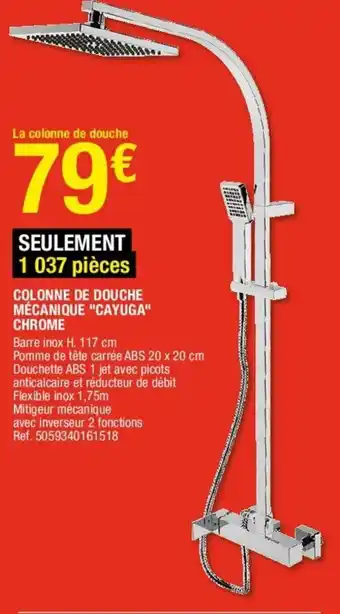 Brico Dépôt Colonne de Douche offre