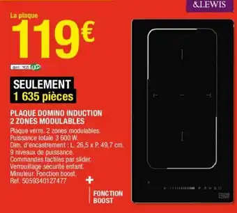 Brico Dépôt Plaque Domino Induction offre