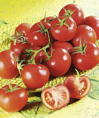 Casino Supermarchés Tomate ronde grappe offre