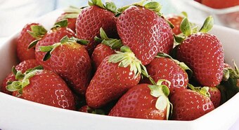 Casino Supermarchés Fraise Gariguette offre