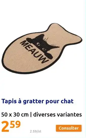 Action Tapis à gratte pour chat offre