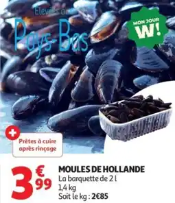 Auchan Moules de hollande offre