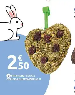 Mr Bricolage Friandise coeur cerise à suspendre offre