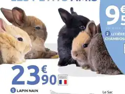 Mr Bricolage Lapin nain offre