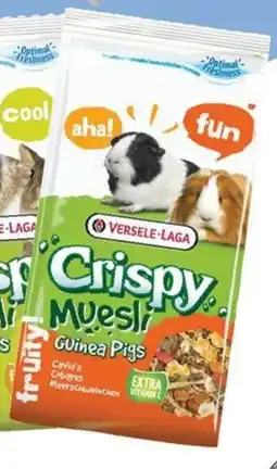 Mr Bricolage Crispy muesli cobaye offre