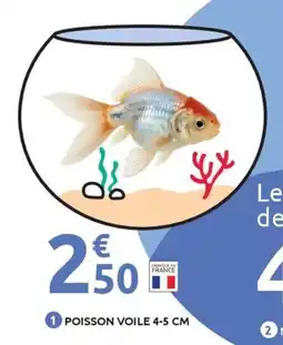 Mr Bricolage Poisson voile offre