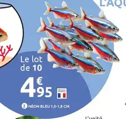 Mr Bricolage Néon bleu offre