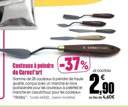 Dalbe Couteaux à peindre de Corect'art offre