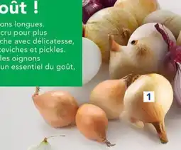 METRO Oignon jaune offre