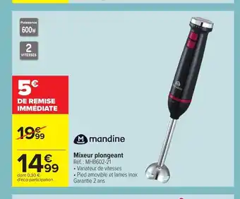 Carrefour Mixeur Plongeant offre