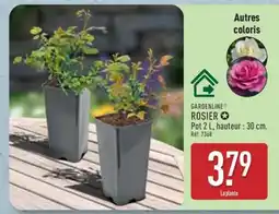 ALDI GARDENLINE ROSIER offre