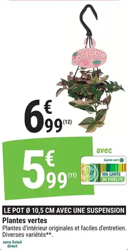 Gamm vert Plantes vertes offre