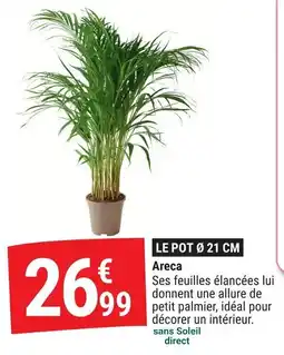 Gamm vert Areca offre