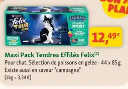 Maxi Zoo Felix maxi pack tendres effilés offre