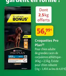 Maxi Zoo Purina croquettes offre