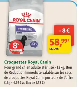 Maxi Zoo Royal canin croquettes offre