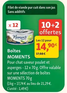Maxi Zoo Boîtes moments offre