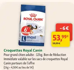 Maxi Zoo Royal canin croquettes offre