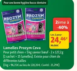 Maxi Zoo Prozym ceva lamelles offre