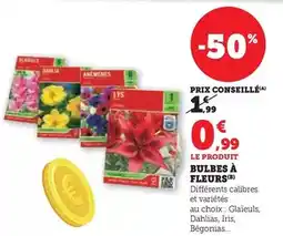 Hyper U Bulbes à fleurs offre