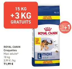 Tom&Co Royal canin croquettes offre