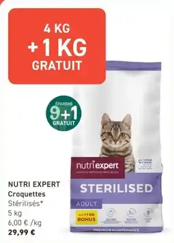 Tom&Co Nutri expert croquettes offre