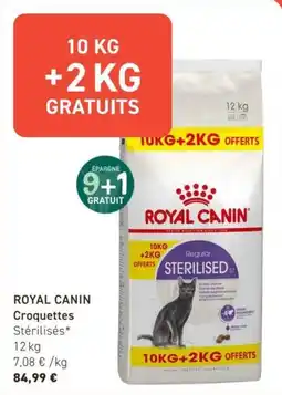 Tom&Co Royal canin croquettes offre
