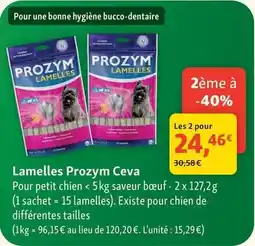Maxi Zoo Prozym - lamelles ceva offre