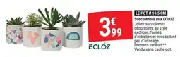 Gamm vert Ecloz - le pot & 10.5 cm succulentes mix offre