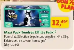 Maxi Zoo Purina - maxi pack tendres effilés felix offre