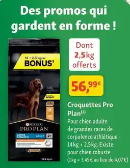 Maxi Zoo Purina - croquettes pro plan offre