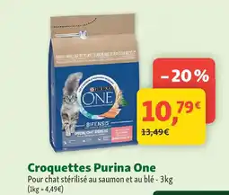 Maxi Zoo Croquettes Purina One offre