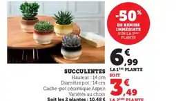 Hyper U Succulentes offre