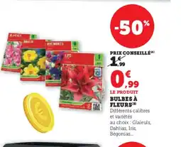 Hyper U Bulbes à fleurs offre