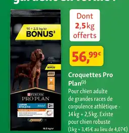 Maxi Zoo PRO PLAN Croquettes offre