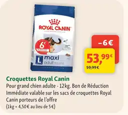 Maxi Zoo ROYAL CANIN Croquettes offre