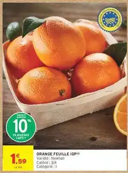 Intermarché Hyper ORANGE FEUILLE IGP offre