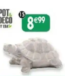 Maximo Tortue offre
