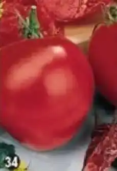 Maximo Tomate coeur de Boeuf offre
