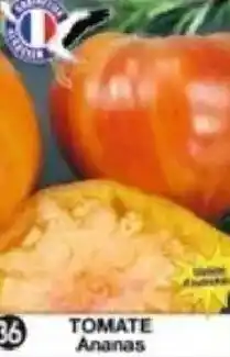 Maximo Tomate Ananas offre
