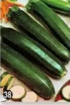 Maximo Courgette verte des maraîchers offre