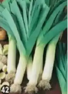 Maximo Poireau bleu de solaize offre