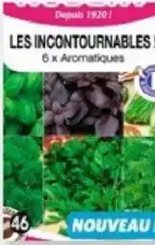 Maximo Sachet de 6 incontournables aromatiques offre