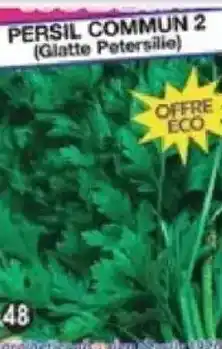 Maximo Persil commun offre