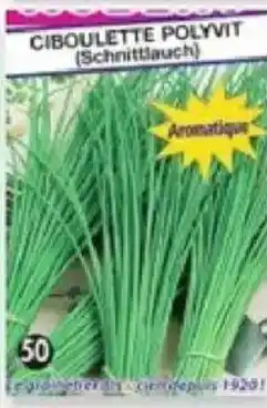 Maximo Ciboulette polyvit offre