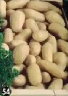 Maximo Charlotte offre