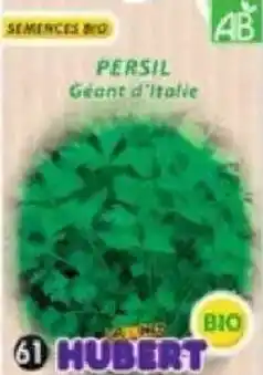 Maximo Persil commun géant d'Italie Bio offre