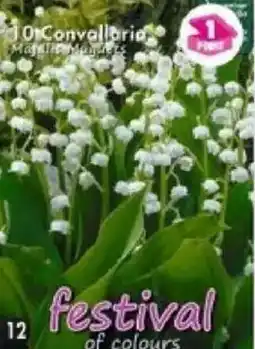 Maximo 10 Griffes de Muguets offre